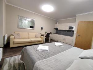 ein Schlafzimmer mit einem Bett und einem Sofa in einem Zimmer in der Unterkunft Útulné studio s balkónem in Harrachov