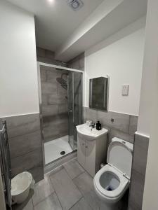 a bathroom with a toilet and a shower and a sink at Sublime Stays Webberley Stylish Studio Stoke City Centre in Stoke on Trent