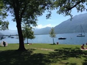 um grupo de pessoas sentadas na grama perto de um lago em Osteria La Riva em Locarno