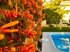 Suite Breeze - Private Heated Pool内部或周边的泳池