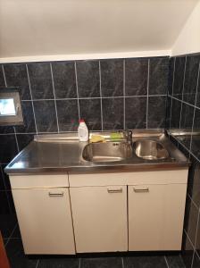 uma cozinha com um lavatório e uma bancada em Vila Alpina Olănești em Băile Olăneşti