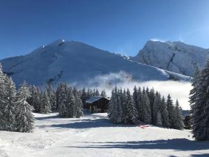 a cabin in the snow with trees and a mountain at Appartement T2 col de Merdassier au pied des pistes in Manigod