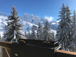 マニグードにあるAppartement T2 col de Merdassier au pied des pistesの雪に覆われた山の景色を望むバスルーム