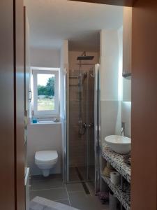 een badkamer met een toilet en een wastafel bij Apartments Familie Vujec in Skrbčići