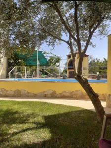 a tree in front of a yellow wall with a swimming pool at Apartments Familie Vujec in Skrbčići