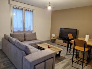 ein Wohnzimmer mit einem Sofa und einem TV in der Unterkunft Agréable maisonnette à proximité du centre-ville in Oyonnax