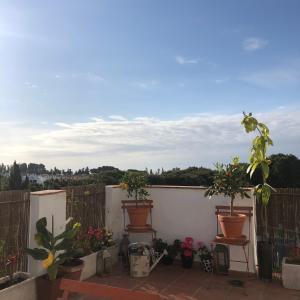 Vonkajšia záhrada v ubytovaní Sea view Penthouse Marbella in "el Señorio de Marbella"