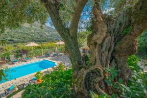 Bazén v ubytování Private villa close to Famous Myrtos beach with private boat! nebo v jeho okolí