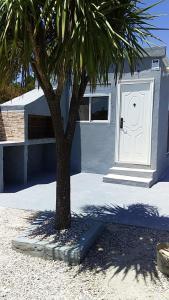 a palm tree in front of a white door at Apartamento Armonía 01 in Punta Colorada