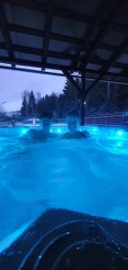 two people in a swimming pool at night at Lipno & Wellness Chata in Loučovice