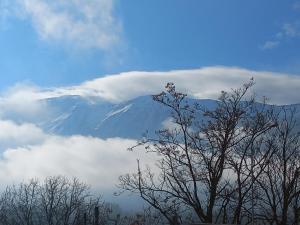 a mountain in the clouds with a tree in the foreground at Casa Guerrino in LʼAquila