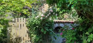 Fotografie z fotogalerie ubytování Schillers Stadthaus v destinaci Hitzacker + 197 fotografií