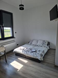 sypialnia z łóżkiem, biurkiem i telewizorem w obiekcie Noclegi 24/h Leszczynek w Kutnie