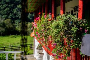 eine Reihe von Pflanzen auf einer Veranda mit Blumen in der Unterkunft Finca La Playa Ecohotel - Experiencia Campestre - in Salento