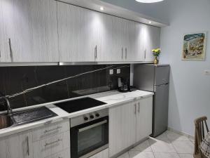 kuchnia z białymi szafkami i lodówką ze stali nierdzewnej w obiekcie THEA SEA APARTMENT w mieście Nea Moudania