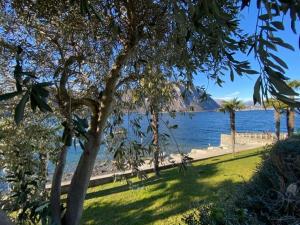 Billede fra billedgalleriet på Luganersee, Pool, Strand, Parkplatz, Suite i Bissone