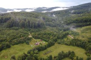 an aerial view of a house on a hill with trees at Cabana Trei Brazi Cacica in Cacica