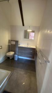 een badkamer met een wastafel, een toilet en een spiegel bij The Horse Farm in Garnwerd