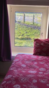 een slaapkamer met een bed en een raam met uitzicht op een weiland bij The Horse Farm in Garnwerd