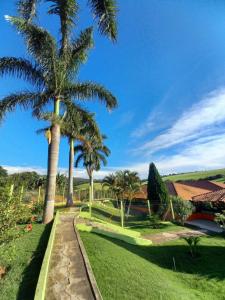 a garden with palm trees and a walkway at Boa Vista in São Thomé das Letras