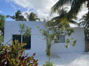 Zahrada ubytování Casa Colibrí El Cuyo