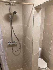 a shower stall in a bathroom with a toilet at The Corner Apartment in Carlow