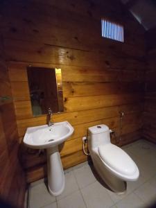 a bathroom with a toilet and a sink at Cilantro Agonda in Agonda