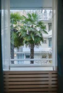 a palm tree is seen through a window at The Burrard in Vancouver