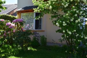 a house with a window and a bush with flowers at Montalto in Dina Huapi