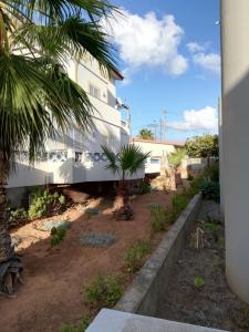 un edificio con una palmera delante de él en Apartamento Pedras Pretas, en Porto Santo