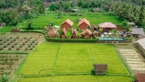Zahrada ubytování Alam Kawi Ubud Resort & Spa