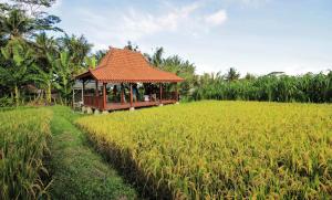 Zahrada ubytování Alam Kawi Ubud Resort & Spa