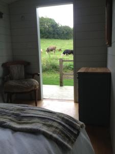 a bedroom with a view of cows in a field at Shepherds Rest Bruton in Bruton