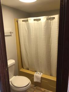 a bathroom with a toilet and a shower curtain at Budget Host Inn in Greenup
