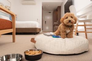 The Sands Torquay客房内的一张或多张床位