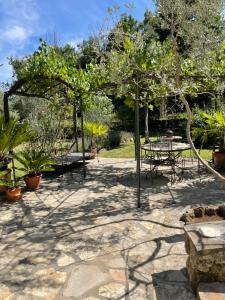 Κήπος έξω από το Maison avec jardin et vue - Le Pont du Loup 06 +12 φωτογραφίες