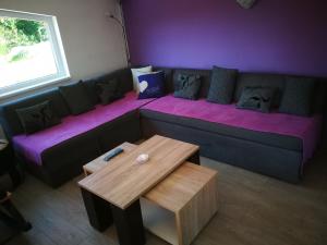 ein Wohnzimmer mit einem Sofa und einem Tisch in der Unterkunft "Porodica MARKOVIC" Borsko jezero in Beljevina