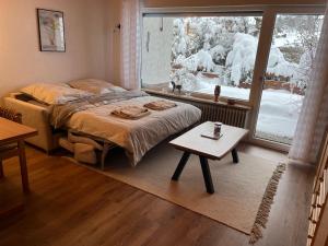 a bedroom with a bed and a window with snow outside at Cozy Condo, Ski in and Out in Todtnau