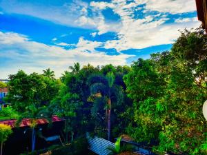 uma vista para uma floresta de árvores e uma ponte em Hotel Dorset em Negombo