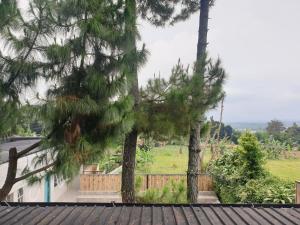 Příroda nedaleko vily