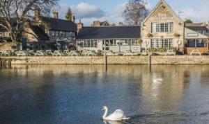 a swan swimming in the water in front of a building at Spacious Cotswold country cottage in Buscot