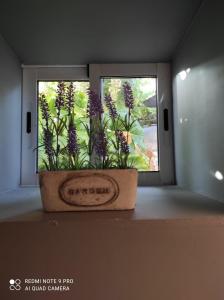 Zdjęcie z galerii obiektu Casita Roque Real w mieście Puntagorda