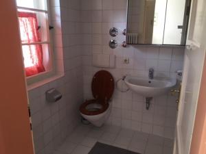 a bathroom with a toilet and a sink at Haus in der Sonne Unterwössen in Unterwössen