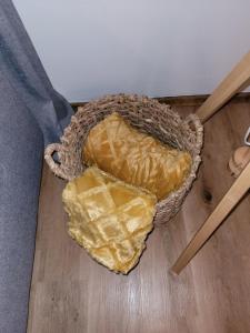 Zdjęcie z galerii obiektu FAMILY APARTMENT LINZ Wohnen mit Garten am Fusse des Pöstlingbergs TOP LAGE Villenviertel w Linzu