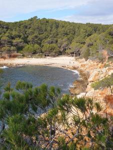 einen Strand mit einem Körper aus Wasser und Bäumen in der Unterkunft Athéna Résidence Bandol - Piscine et Tennis in Bandol