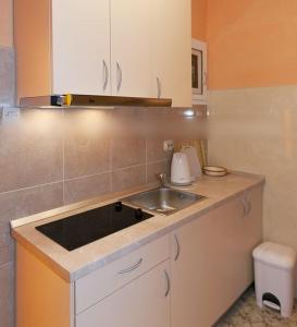 Kuchyň nebo kuchyňský kout v ubytování Apartment in Tucepi with sea view, balcony, air conditioning, WiFi 3674-1 + 21 fotografií