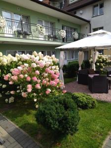 a hedge of pink roses in front of a building at Oaza Łeba - Pokoje w centrum Łeby in Łeba