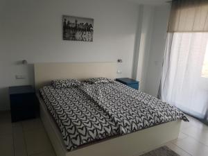 Gallery image of Apartment Tenerife Sur in Palm-Mar