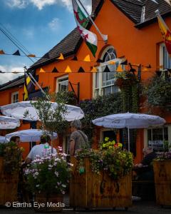 Foto de la galería de The Bear Inn en Llandovery