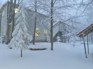 una casa nella neve con alberi innevati di Apartmani SP Jovanovic a Crni Vrh